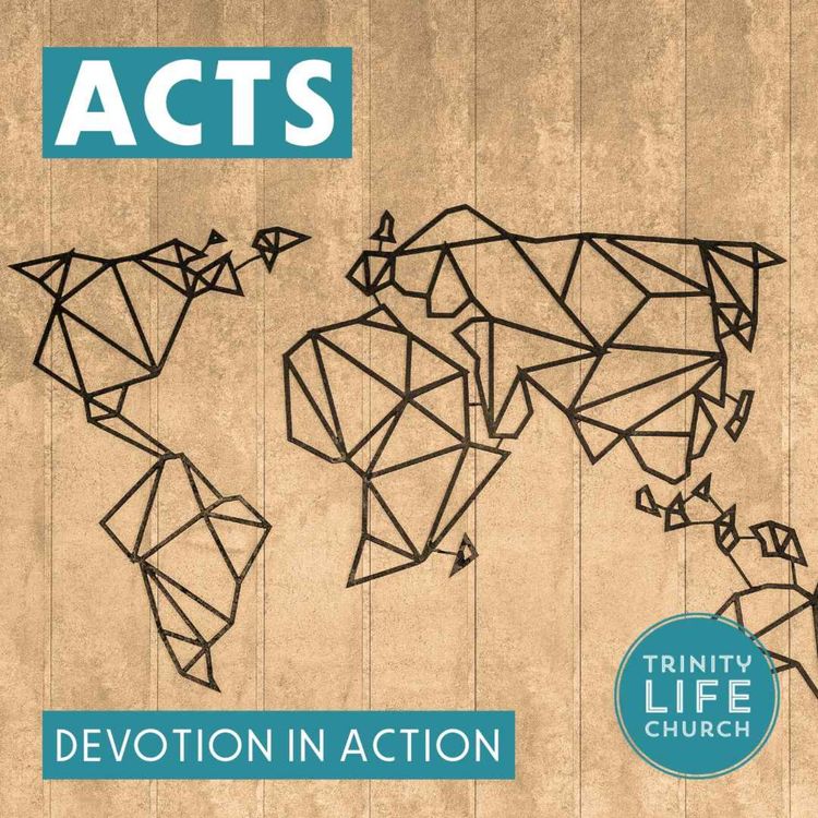 cover art for Arrest and Opposition