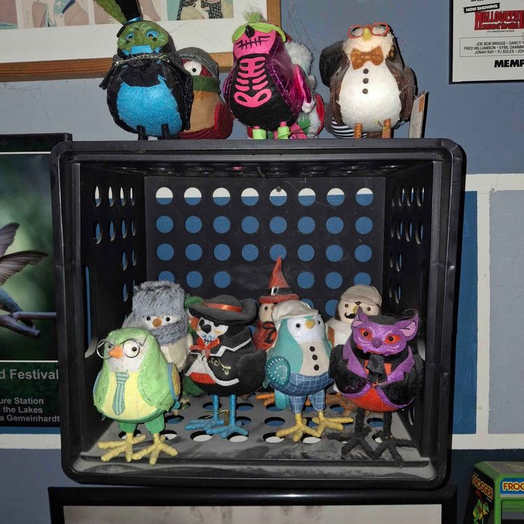 cover art for Steel Ball Run Episode 1: Steel Ball Run