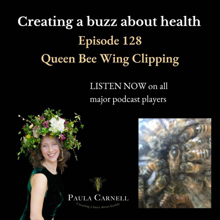 cover art for Clipping Queen Bee's Wings