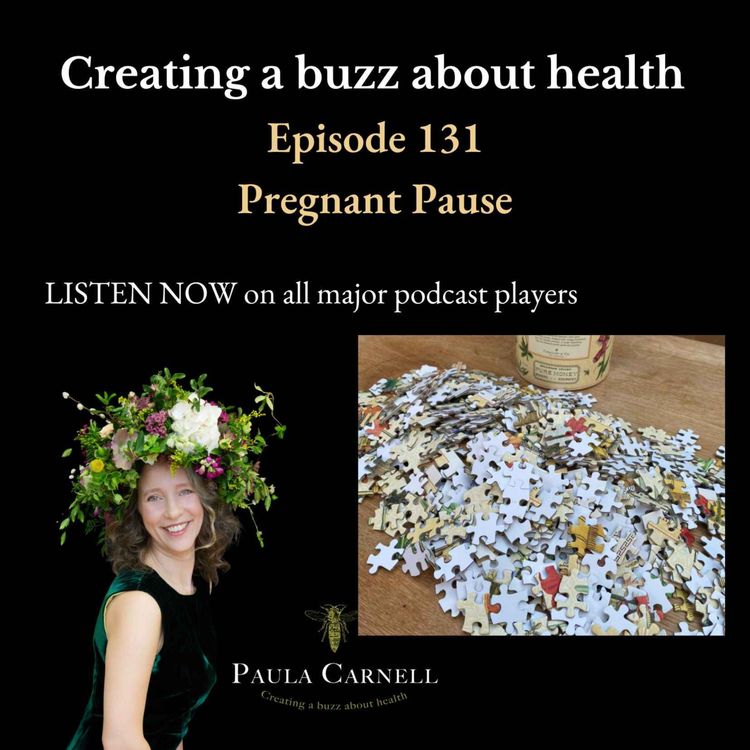 cover art for Pregnant Pause