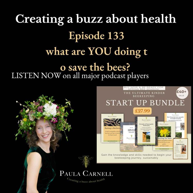 cover art for What are YOU doing to save the bees?