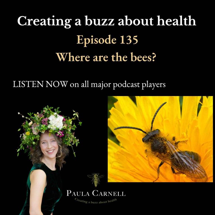 cover art for Where are the bees? 