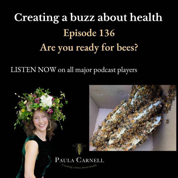 cover art for Are you ready to find your bees? 