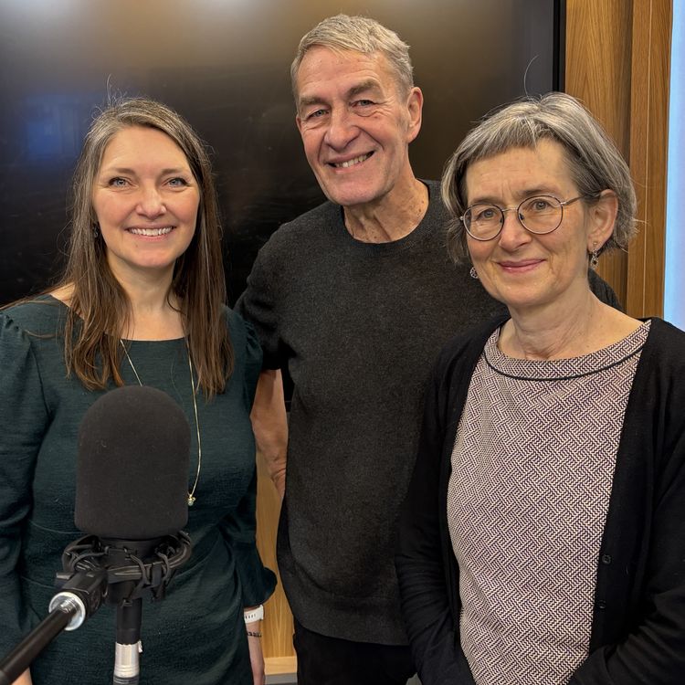 cover art for #6 Teamcoaching