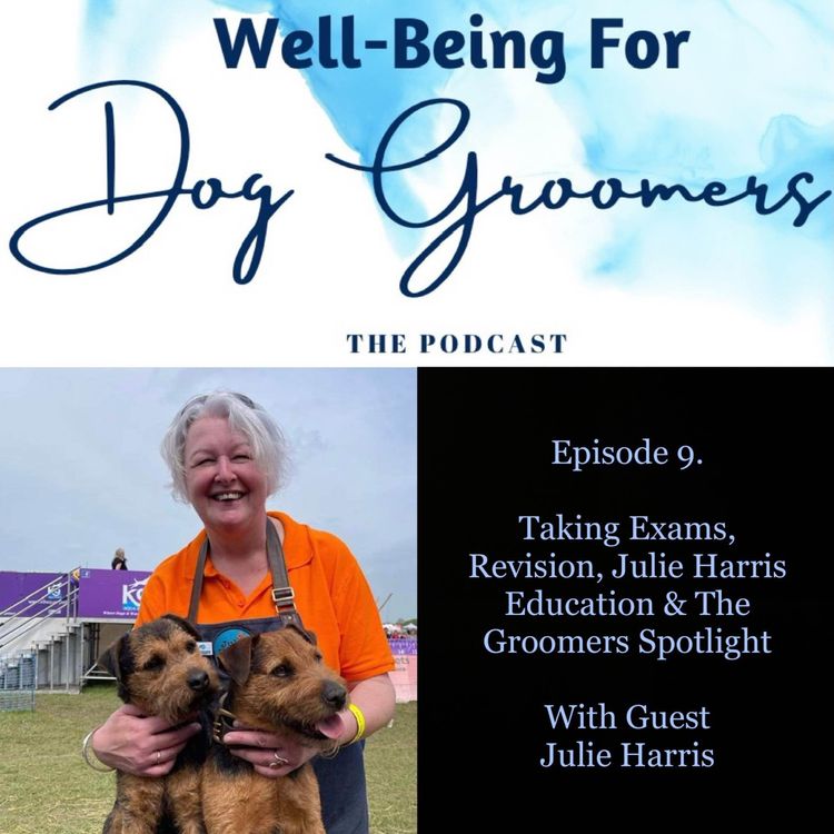 cover art for Episode 9 … Julie Harris - Talking Exams, Revision, Julie Harris Education & The Groomers Spotlight 