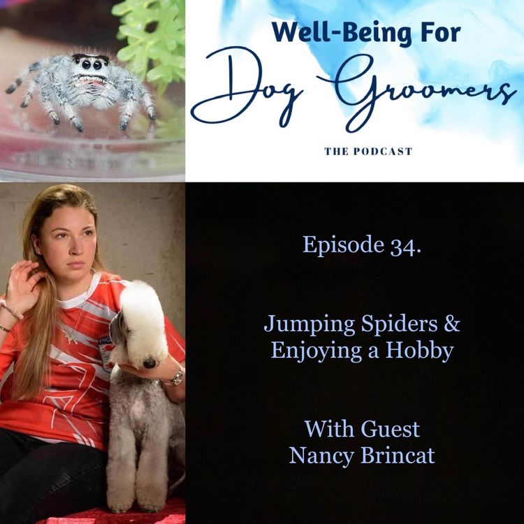 cover art for Episode 34 - Nancy Brincat … Jumping Spiders & Having Hobbies