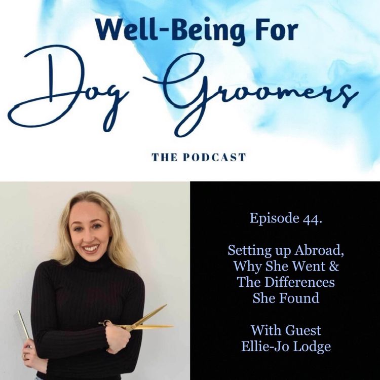 cover art for Episode 44 - Ellie - Jo Lodge - Setting Up Abroad, Why She Went & The Differences She Found