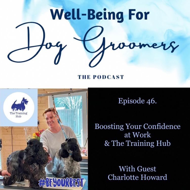 cover art for Episode 46 - Charlotte Howard … Boosting Your Confidence at Work & The Training Hub