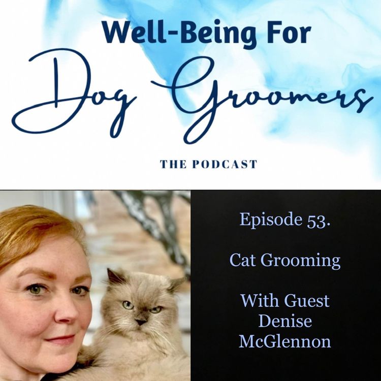 cover art for Episode 53 - Denise McGlennon … Cat Grooming