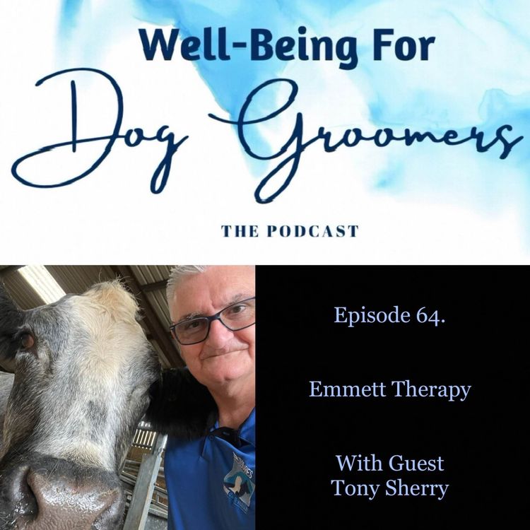 cover art for Episode 64 - Tony Sherry - Emmett Therapy