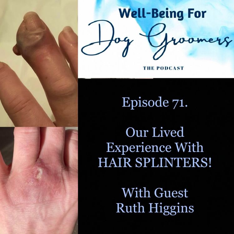 cover art for Episode 71 Ruth Higgins ... Our Lived Experiences with HAIR SPLINTERS!