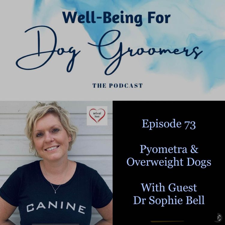 cover art for Episode 73 - Dr Sophie Bell ... Pyometra & Overweight Dogs