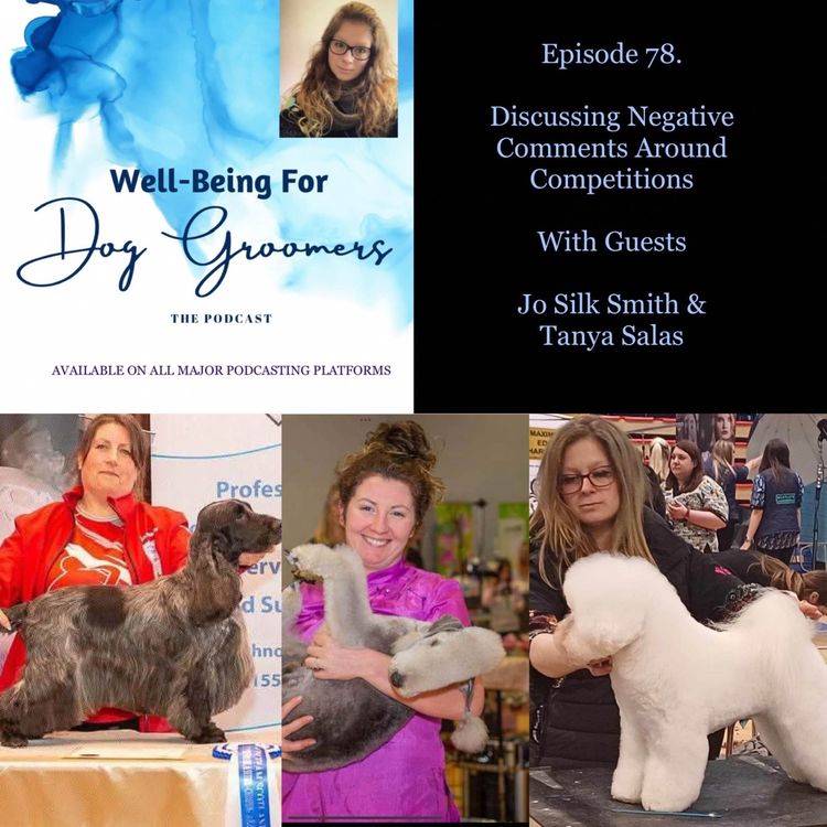 cover art for Episode 78 - Jo Silk Smith & Tanya Salas … Discussing the Negative Comments Around Competitions