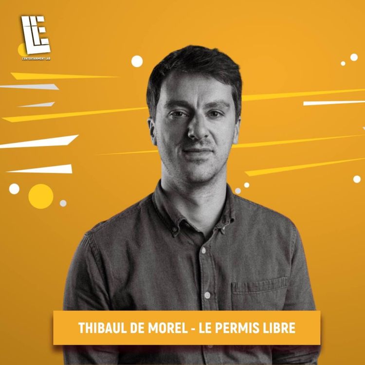 cover art for Thibault de Morel - LE PERMIS LIBRE