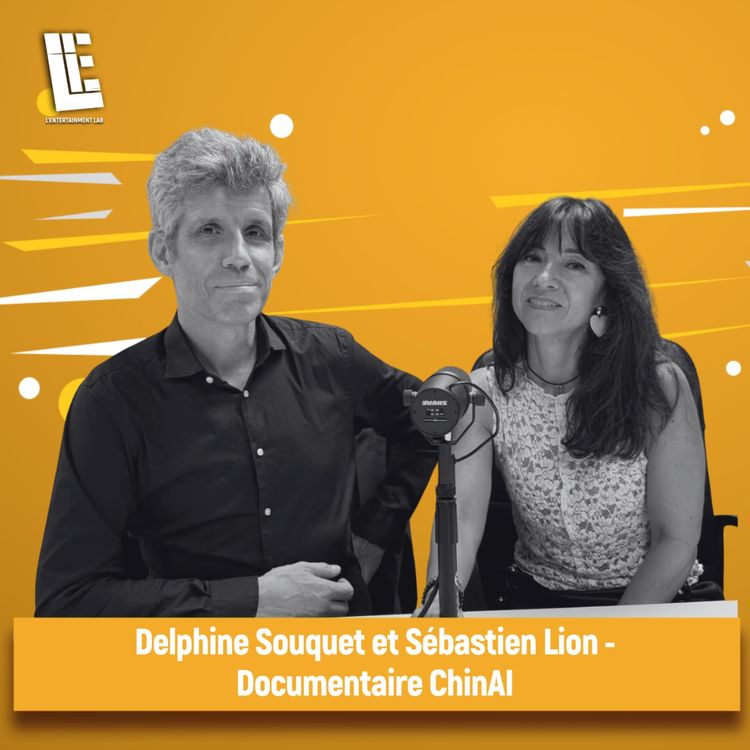 cover art for Delphine Souquet et Sébastien Lion - Documentaire ChinAI
