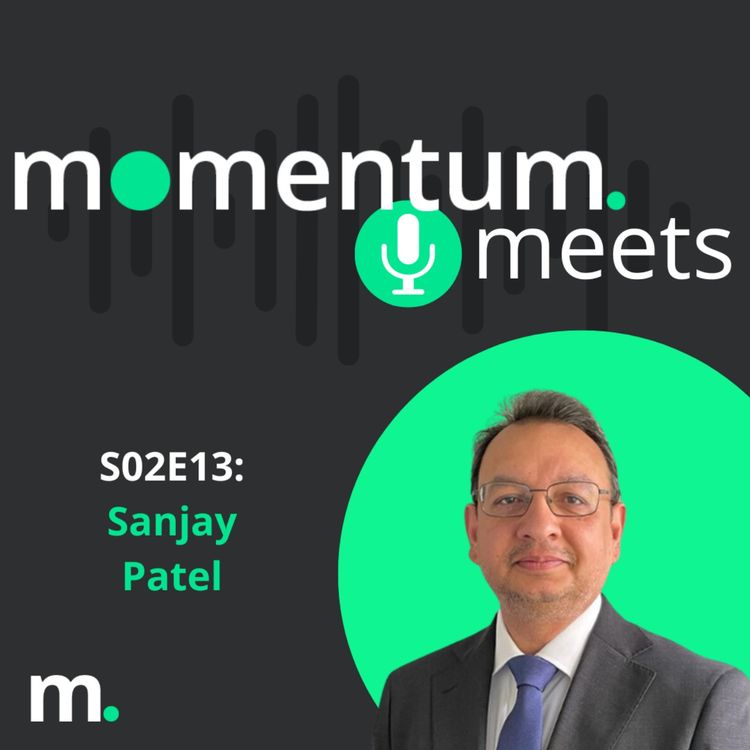 cover art for Momentum Meets: Sanjay Patel