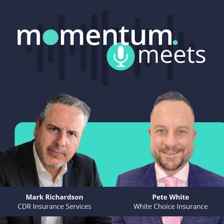 cover art for Momentum 101: Year One, The reality