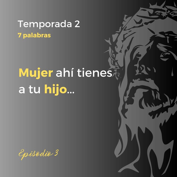 cover art for 03 - Mujer ahí tienes a tu hijo