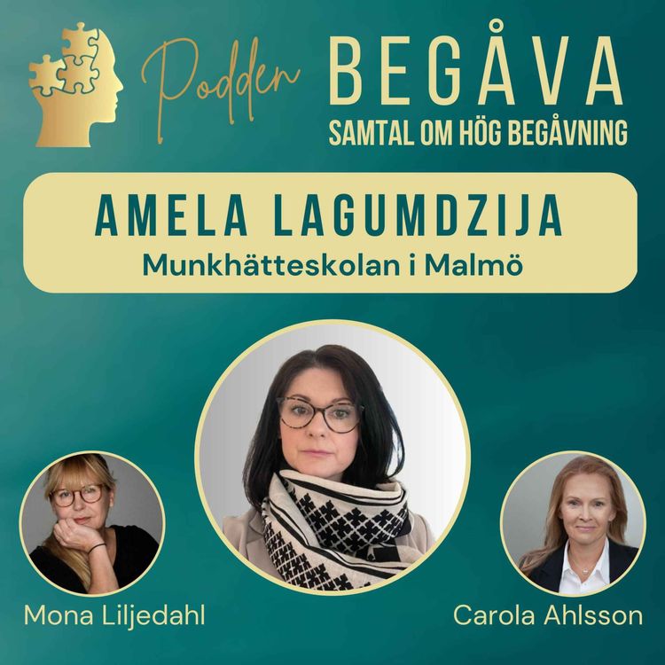 cover art for Amela Lagumdzija rektor Munkhätteskolan Malmö