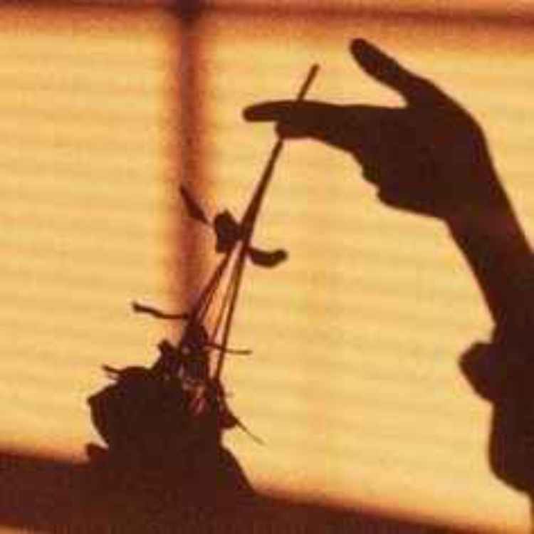 cover art for CAPITULO 1: Hay gente que te da paja conocer