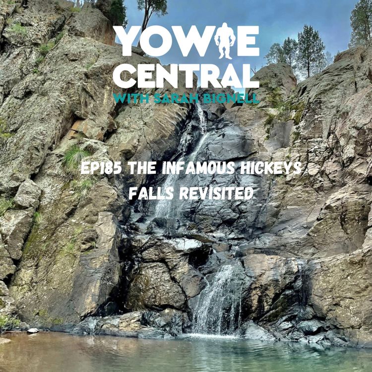 cover art for EP185 Hickeys Falls Revisited Anniversary Edition