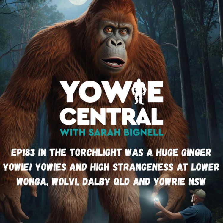 cover art for EP183 In the Torchlight Was A Huge Ginger Yowie! Yowies and High Strangeness at Lower Wonga, Wolvi, Dalby QLD and Yowrie NSW