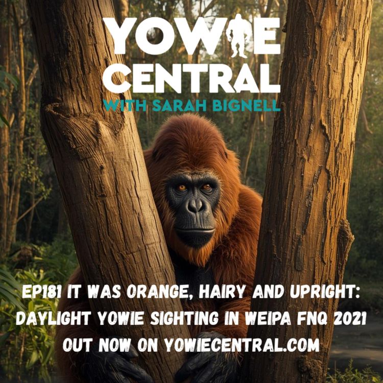 cover art for EP181 It Was Orange, Hairy and Upright: Daylight Yowie Sighting in Weipa FNQ 2021