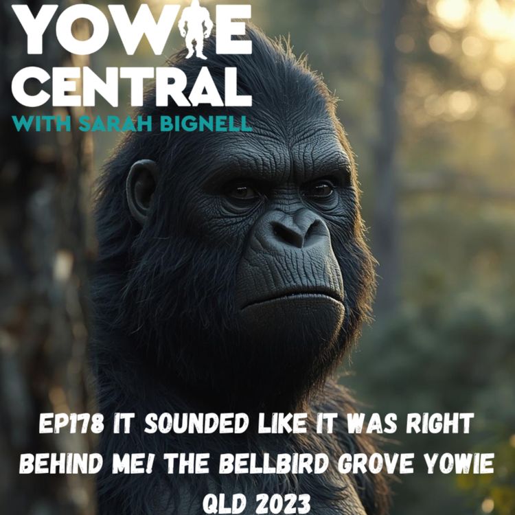 cover art for EP178 It Sounded Like It Was Right Behind Me! The Bellbird Grove Yowie QLD 2023