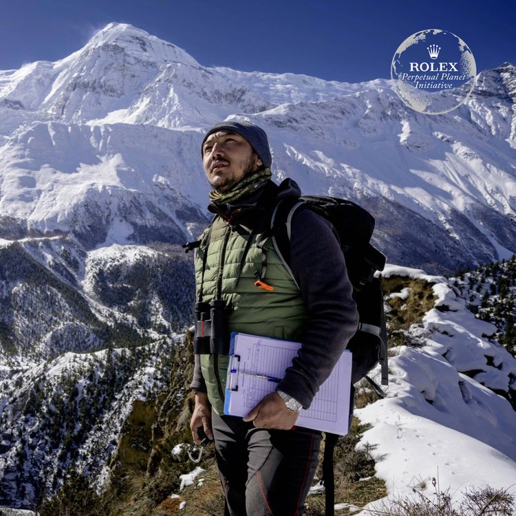 cover art for Rinzin Phunjok Lama – Protecting snow leopards and the sacred Himalayas