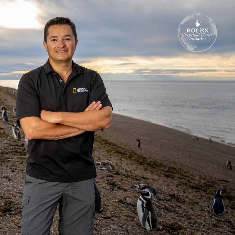 cover art for Pablo García Borboroglu – The penguin guardian of Patagonia