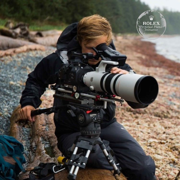 cover art for Bertie Gregory: why wildlife filmmaking can help protect nature
