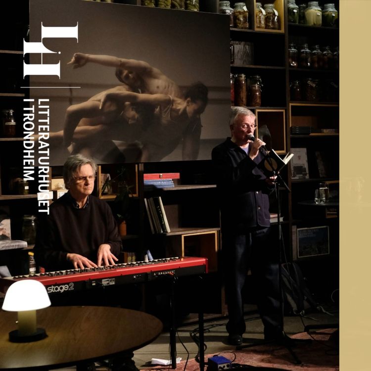 cover art for Lanseringsfest: Arild Vange – Ørene åpnes