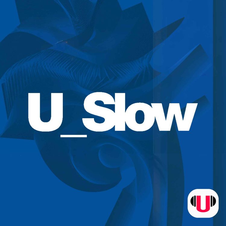 cover art for PINK NOISE embruja tu bosque de sueño profundo