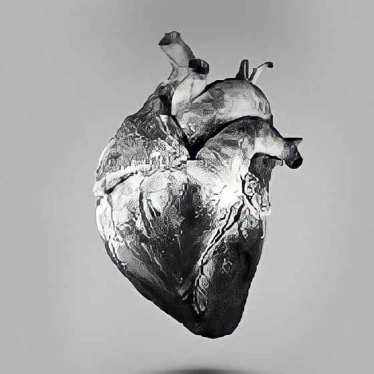 cover art for Amor y odio