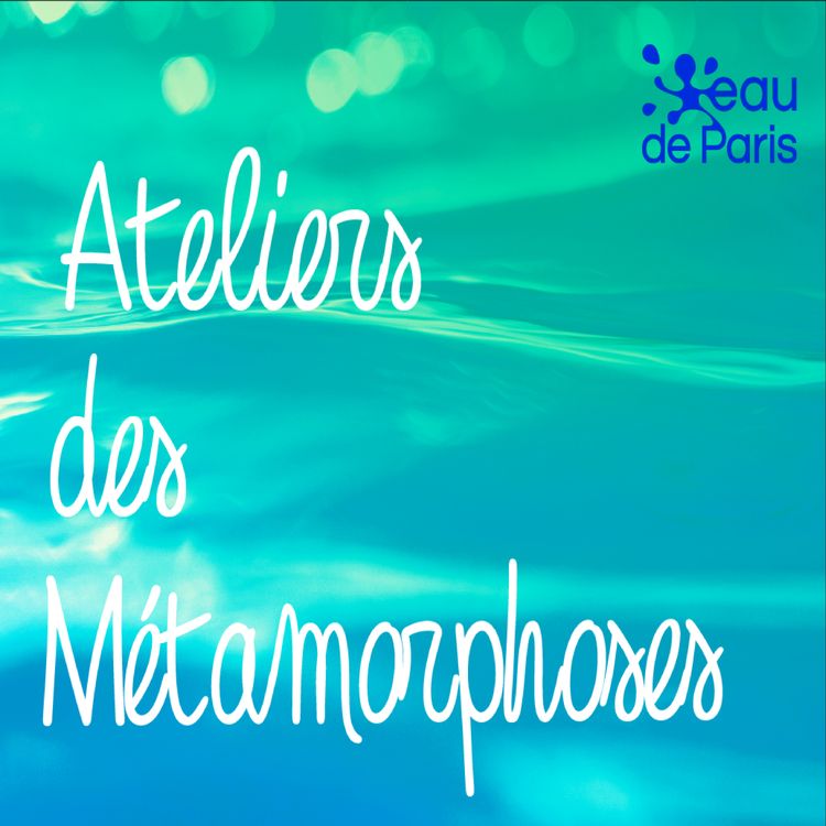 cover art for Amour et désamour des métropoles