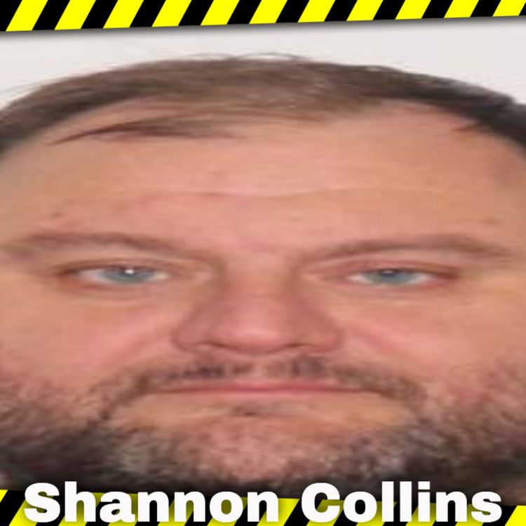 cover art for The Mysterious Disappearance of Shannon Collins