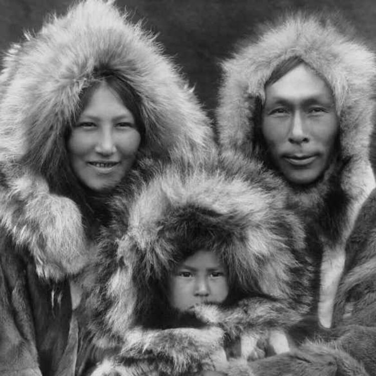 cover art for Forskningspodden #65: Grønland-spesial