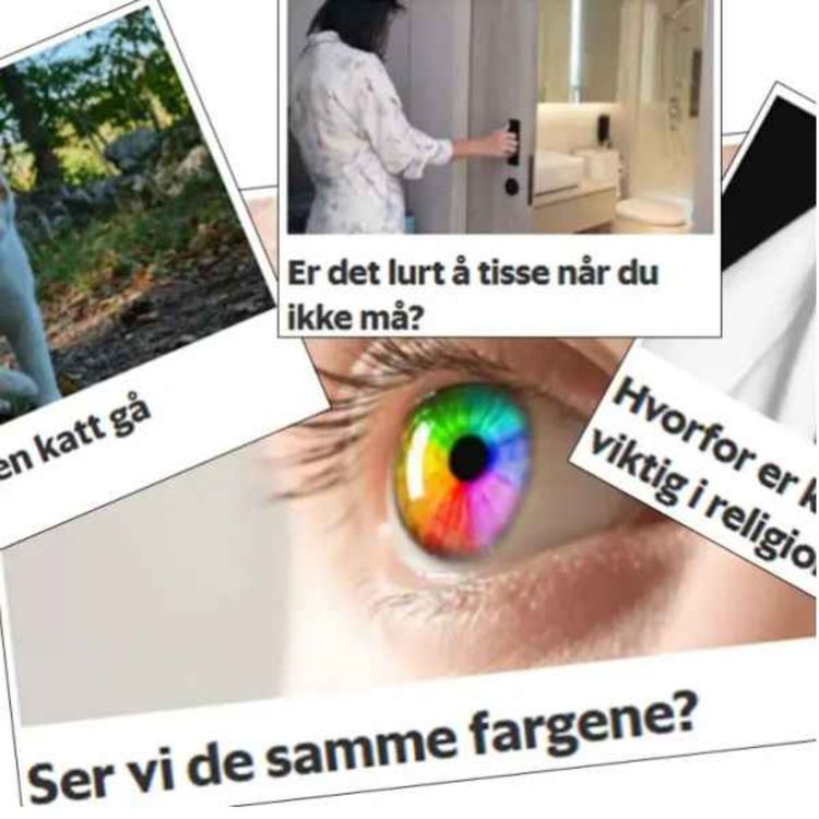 cover art for Spør en forsker-spesial!