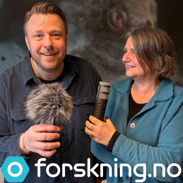 cover art for 1 av 3 norske muslimer har gått på koranskole. Hva lærer de der?