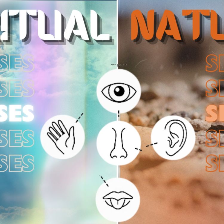 cover art for Spiritual Senses vs Natural Senses - Wednesday Weekly Word - Jason Pullen