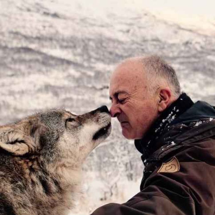 cover art for How Did DOGS Become the Perfect Pets?