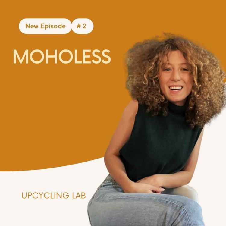 cover art for MOHOLESS