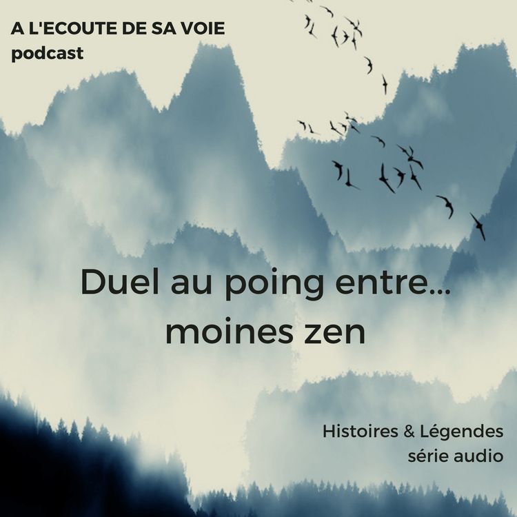 cover art for HORS SERIE : Duel au poing entre... moines zen
