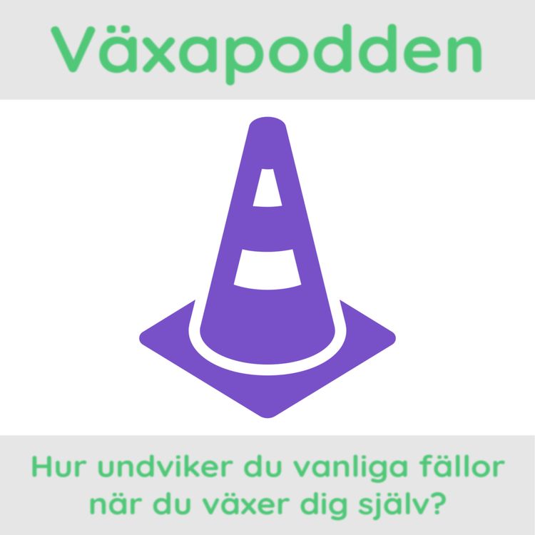cover art for Hur undviker du vanliga fällor när du växer dig själv?