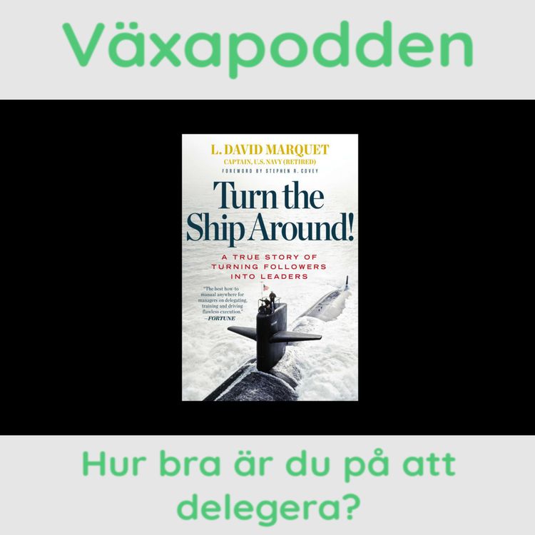 cover art for Hur bra är du på att delegera?