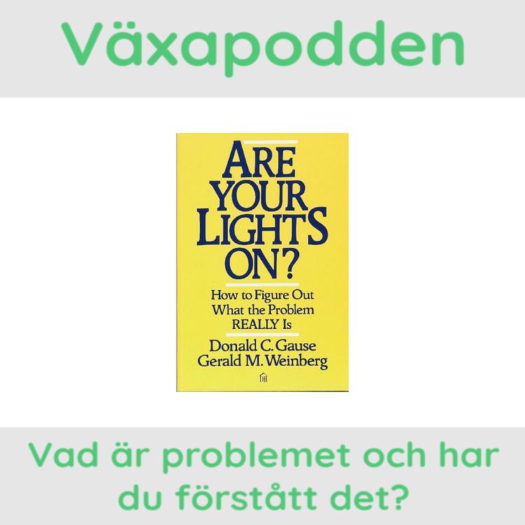 cover art for Vad är problemet och har du förstått det?