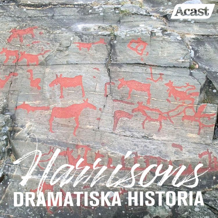 cover art for Den svenska stenåldern