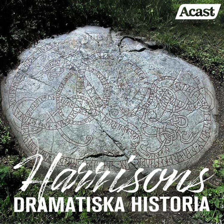 cover art for De magiska runstenarna