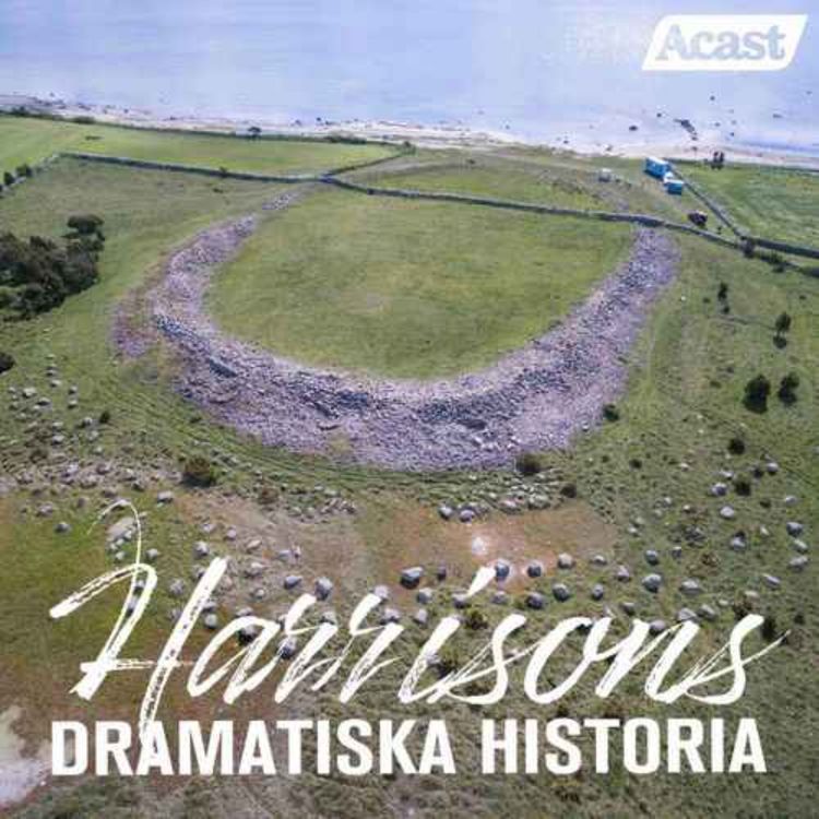 cover art for Fornborgarnas hemligheter