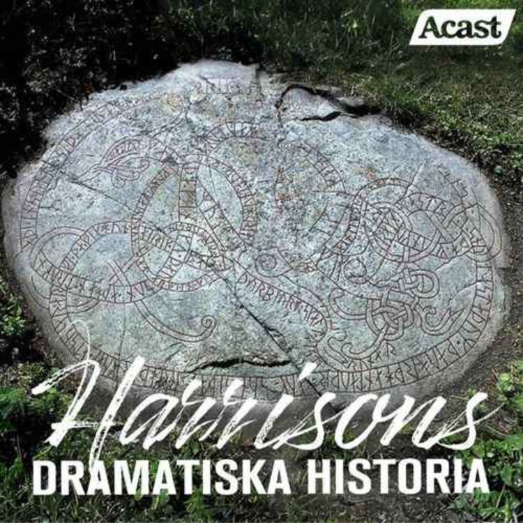 cover art for Runstenarnas hemligheter